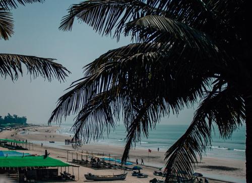 Surrounding environment, This is it Stays - Beach View Rooms & Huts in Arambol