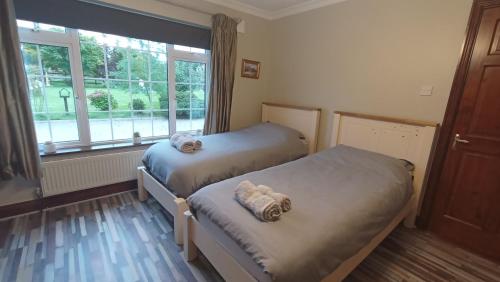 Room in Wexford, Gorey (foto 4)