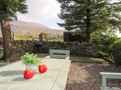 Ffynnon Bach - image 13
