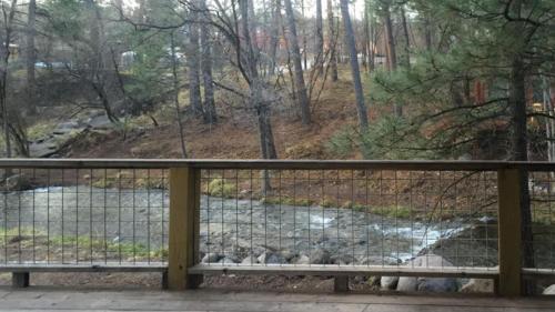 River View - image 6