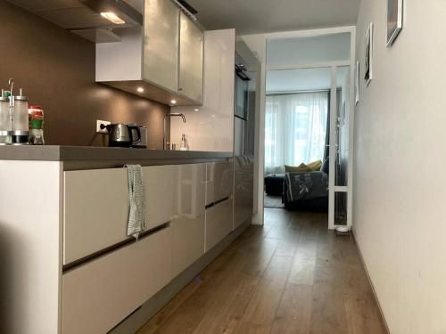 Spacious apartment, Canal area, city center, Amsterdam (photo 8)