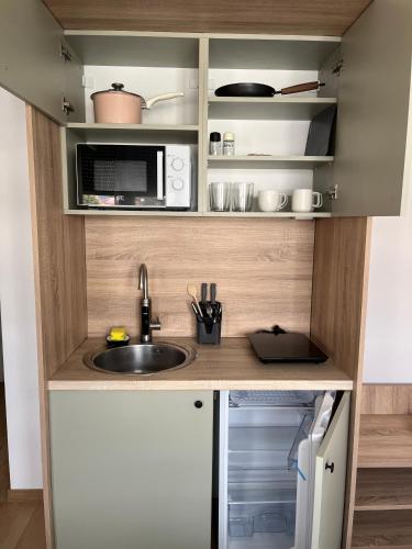 Olive Centre Apartment, Skopje (fotografie 4)