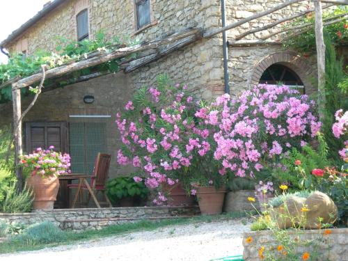Viesnīcas āriene, PERGOLA at Le Pietraie a cottage with many flowers in Montecastelli