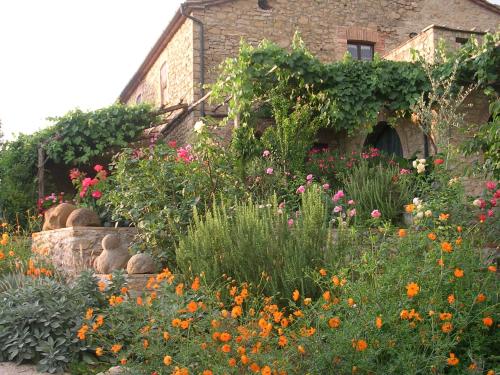 Viesnīcas āriene, PERGOLA at Le Pietraie a cottage with many flowers in Montecastelli