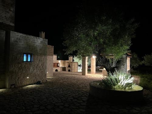 Olive Terrace in Pyrgos Dyrou