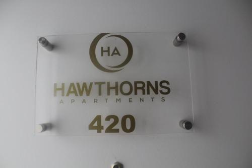 Flat 420 One bedroom apartment, Birmingham (fotografie 3)
