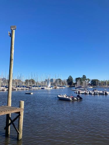 Navegando Buenos Aires in Nuñez