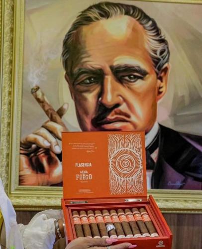 Playa Palmera Ocean View