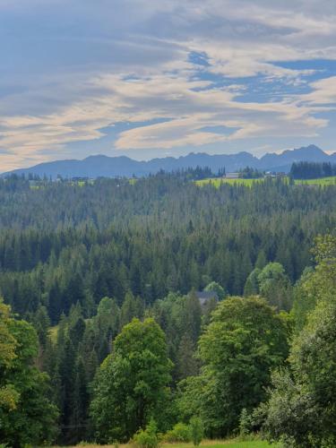 Apartamenty Gubalowski Las Apartamenty Gubalowski Las