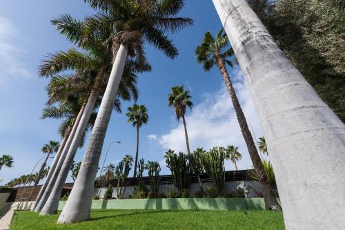 eó Maspalomas Resort - main image