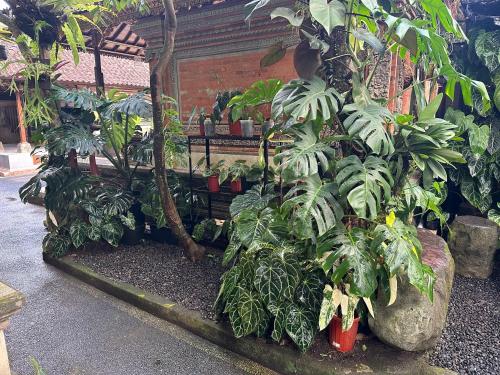 Naeera Guest House - Tap to explore photos