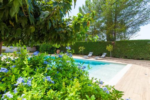 Appart Cocon avec piscine et jardin in Les Camoins