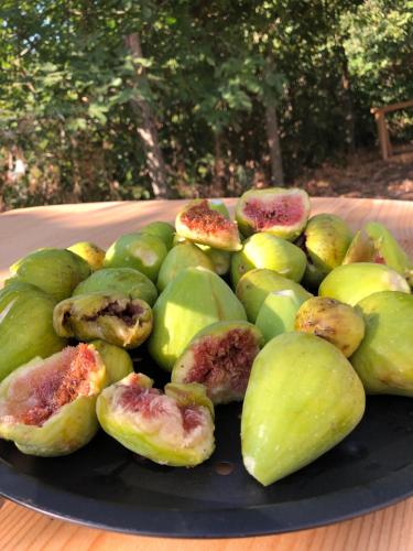  I cipressi Gualdo Tadino Uniquement de samedi à samedi in Pieve di Compresseto