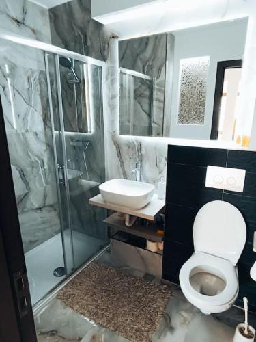 Garsoniera premium in Orastie