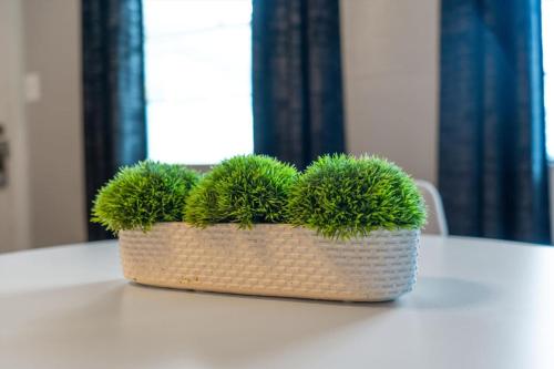 Mins to Downtown - Stunning Austin Haven - Pool Mins to Downtown - Stunning Austin Haven - Pool