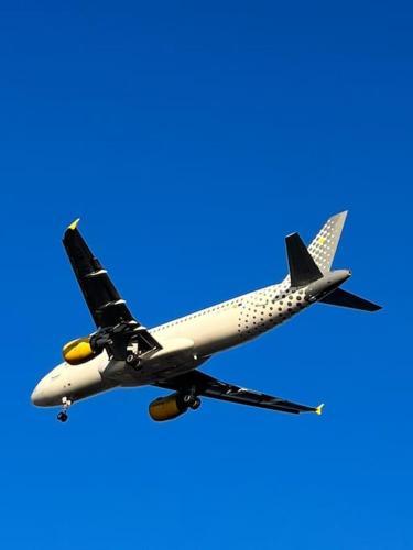 traversa 8, aeroporto, Cinisi (foto 6)