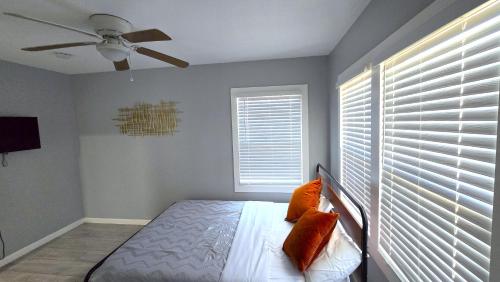 Exotic Home Vista 15 Min To Legoland beaches in Vista, USA