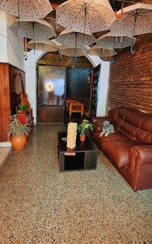 Alpha House Hostel