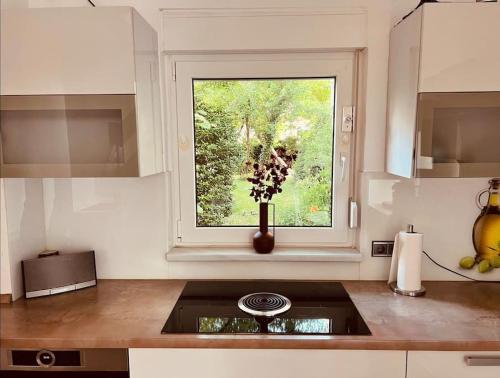 Kitchen, Renovierte Remise mit 3 Schlafzlmmern in Langen (Hessen)