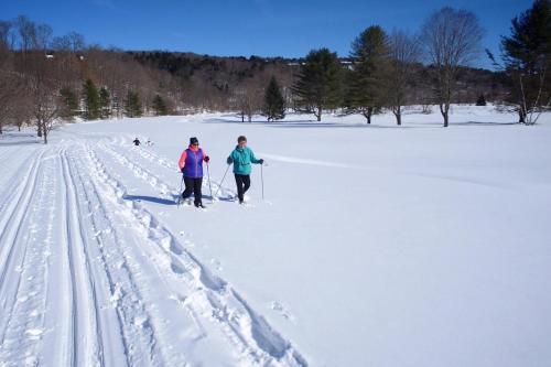Mill Run 10E in Quechee, USA