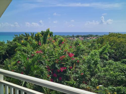 Appartement vue mer avec jacuzzi in Le Diamant