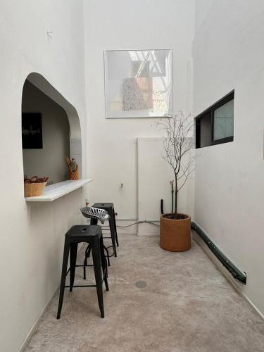 Fresh Condesa Space Chic Stay Dormitory room - image 3