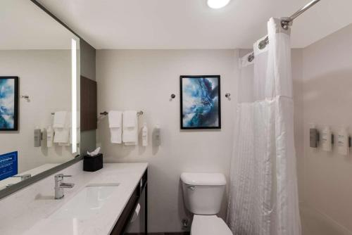 The Hilton Garden Inn The Hilton Garden Inn