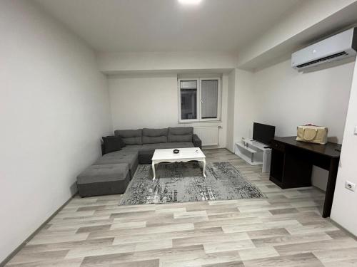 Luxurious flat