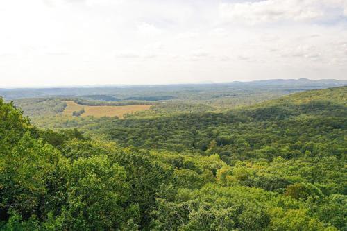 . High Hopes on Oglethorpe - Relax in lush surroundings