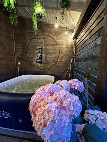 Forest hugs котедж Славсько in Volosyanka