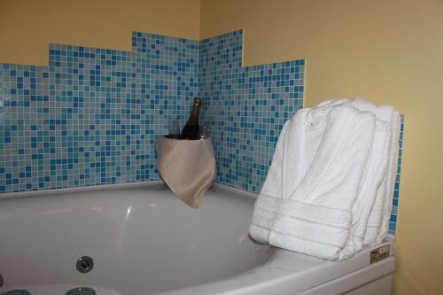 Ljubljana Resort Hotel & Camping, Lublaň (fotografie 3)