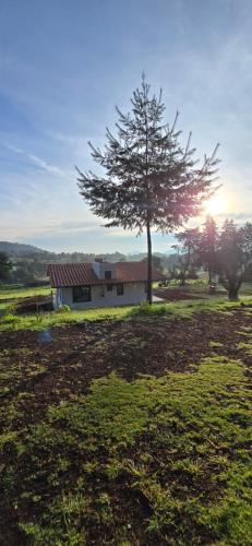 Omgivelser, Chalet bosques de Zacatlan III in Barrio Maquixtla