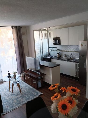 202 Mitimae, Ovalle (foto 5)