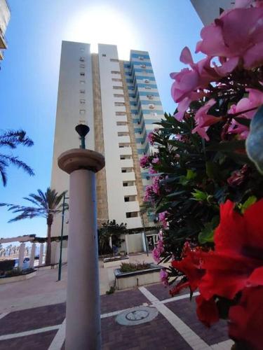 The best panorama in Krayot Pinhas Sapir in Kiryat Yam