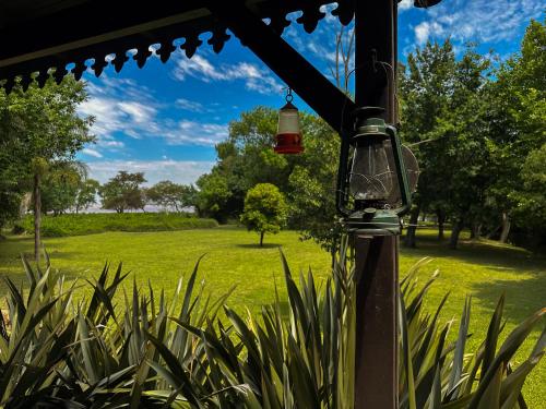 Isla chana Reserva Punta Morán