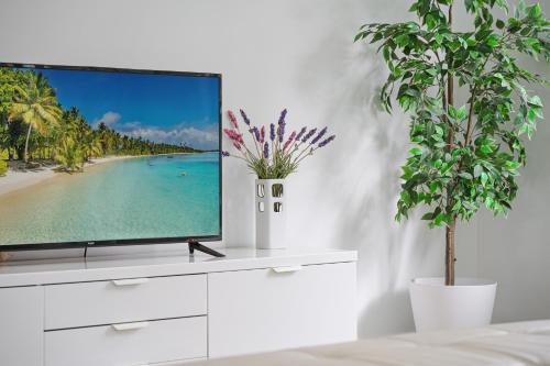 Collaroy 3Br Beach Home with Large Pool First Floor