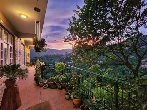 Buitenkant, Rashmi Cottage - 4 BHK Villa with Serene Valley Views - Kasauli in Dharampur