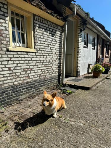 Bosrand Suite Vught in Vught