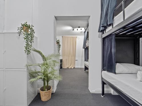 AZZURO POD HOTEL - Potts Point - image 6