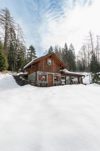 Cain Comfort Chalet - Molveno