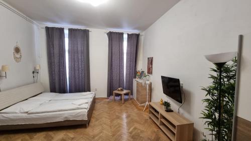 Apartment Krakovska 20, Prague (photo 11)