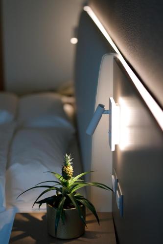Comfort Twin Room image 1