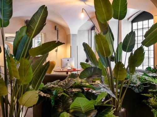 Browns Downtown Hotel – Lisbon, NY