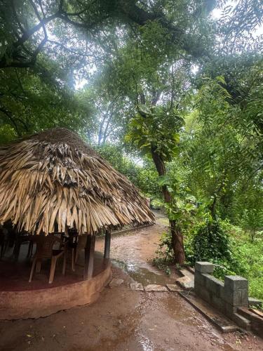 Sradha Farm Stay in Kollengode