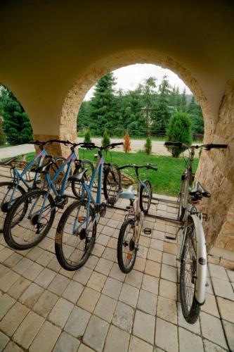 Pensiunea Smida Park - image 10