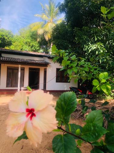 . Village Vibes Homestay