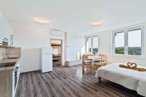 köök, Apartmány Jakub (Apartmany Jakub) in Svetla Nad Sazavou