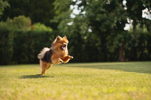 Hotel Al Giardino - image 11