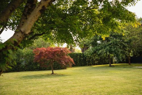 Hotel Al Giardino - image 5