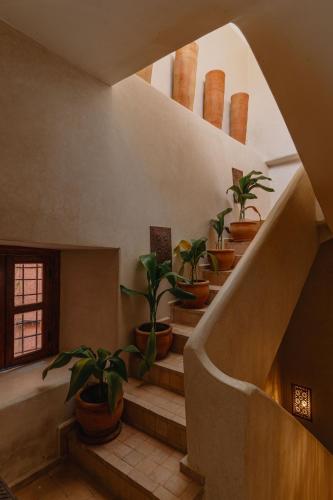 Riad Senja, Marakéš (fotografie 9)